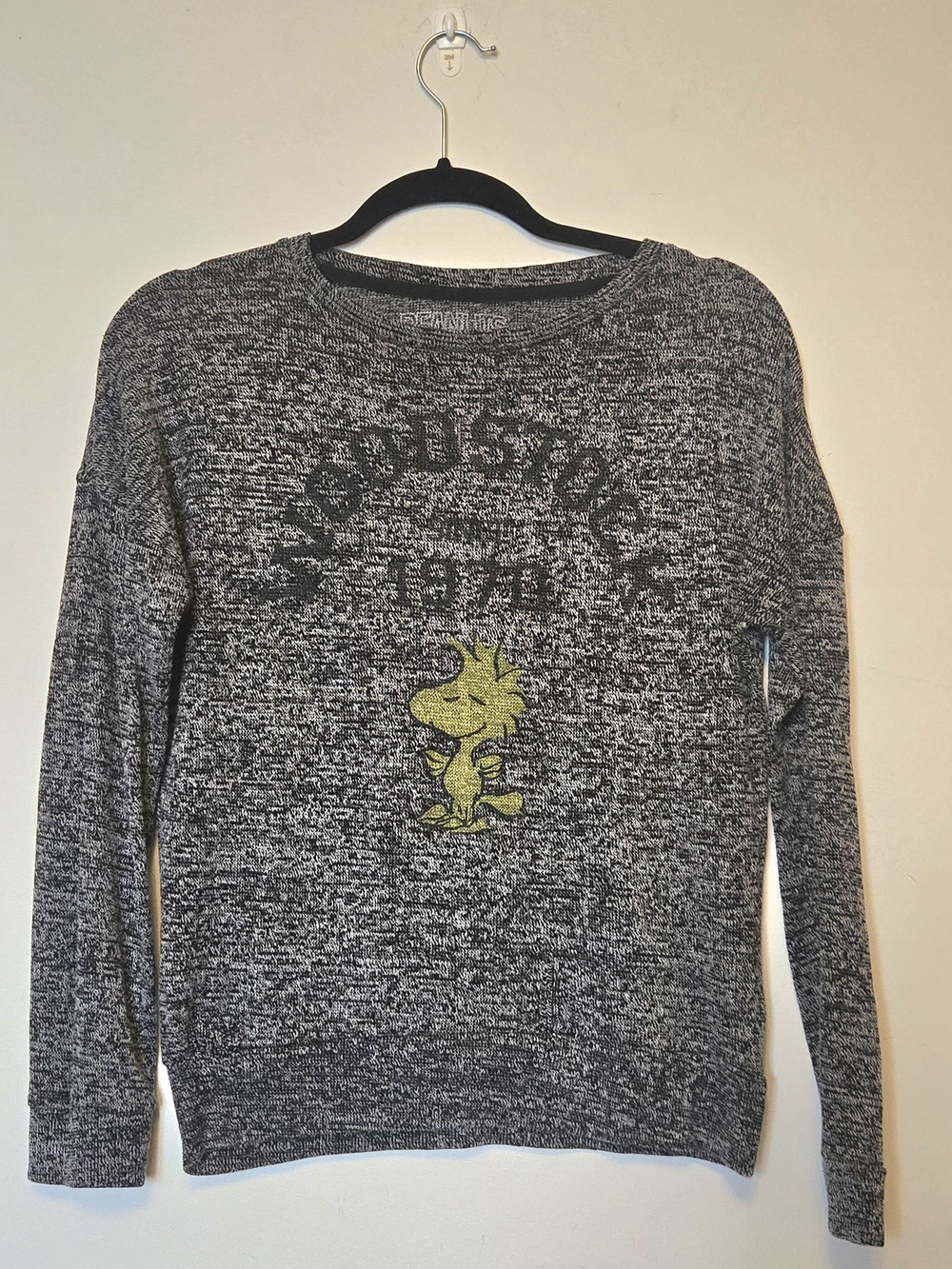 🐦 Peanuts licensed Woodstock graphic sweater in heathered gray marled knit